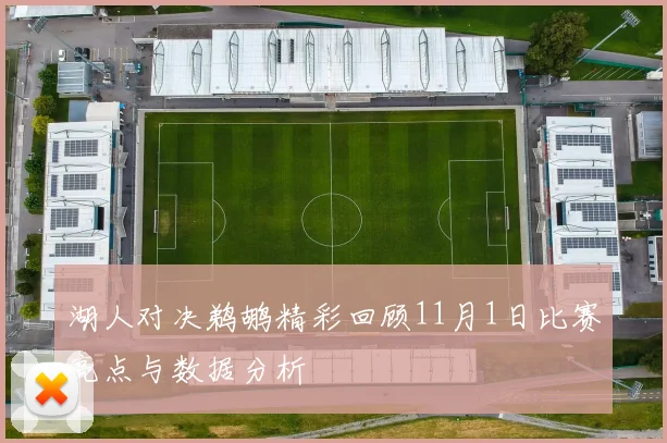 湖人对决鹈鹕精彩回顾11月1日比赛亮点与数据分析