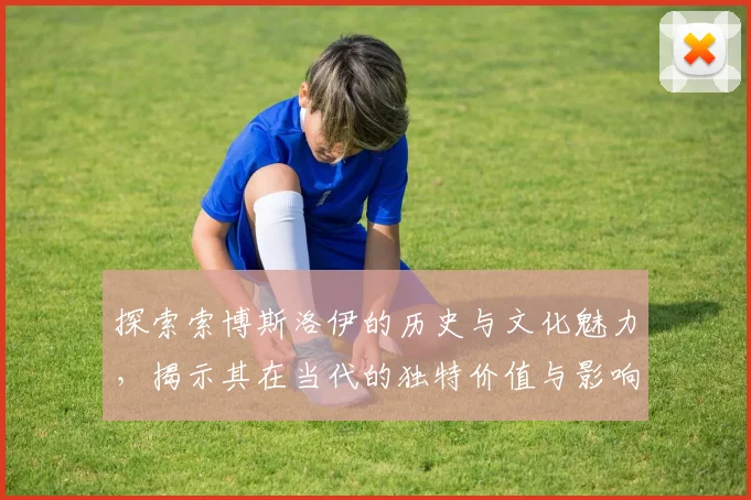 探索索博斯洛伊的历史与文化魅力，揭示其在当代的独特价值与影响力
