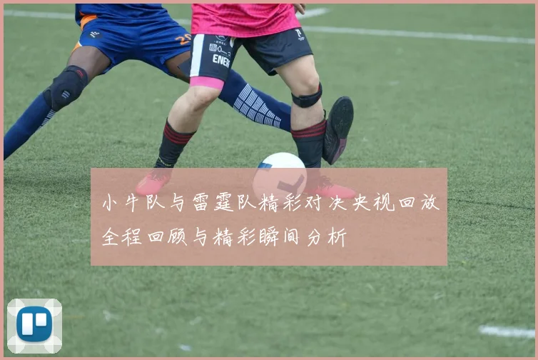 小牛队与雷霆队精彩对决央视回放全程回顾与精彩瞬间分析