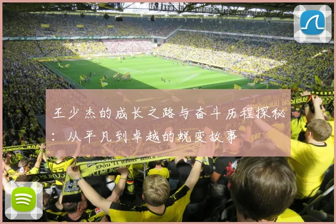 王少杰的成长之路与奋斗历程探秘：从平凡到卓越的蜕变故事