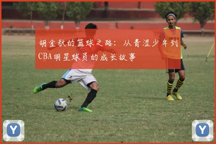 胡金秋的篮球之路：从青涩少年到CBA明星球员的成长故事