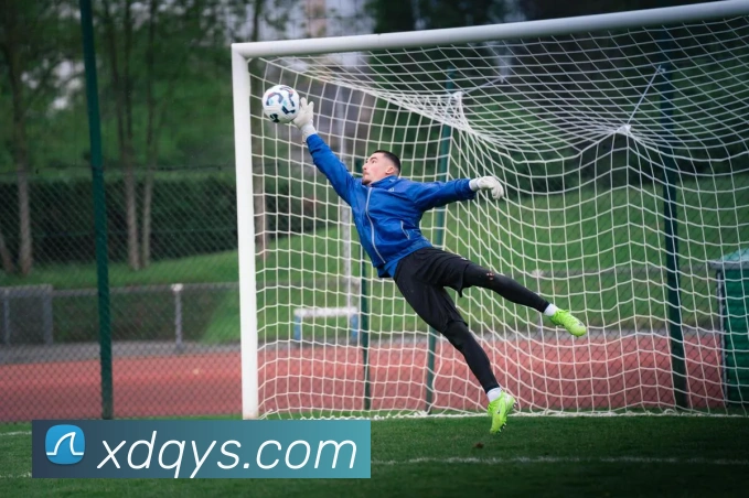 亚博体育服务体系